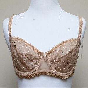 B. Tempt’d Nude Bra NWT Size 34B